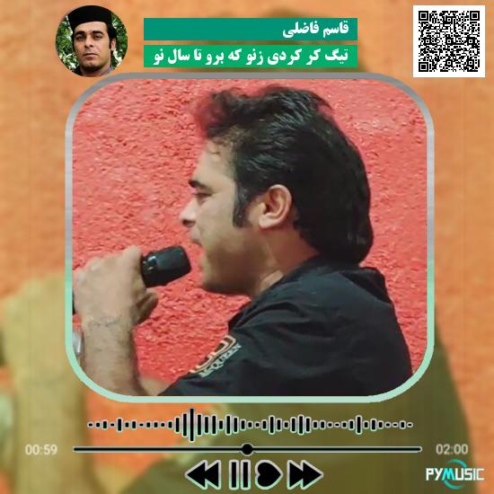 دانلود آهنگ تیگ کر کردی زنو که برو تا سال نو قاسم فاضلی